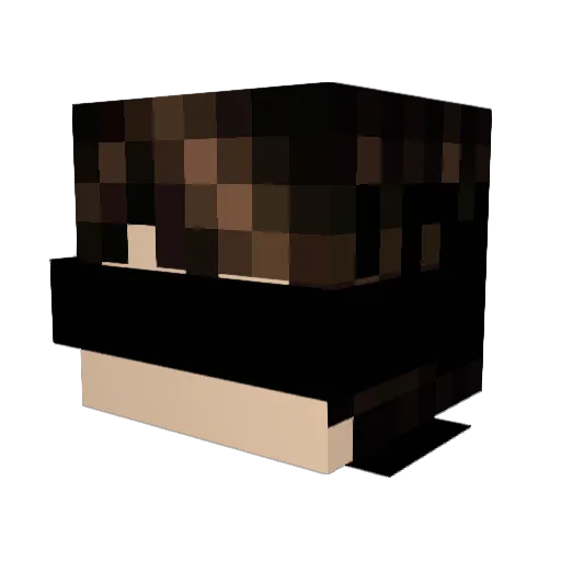 NotReann Minecraft avatar head, 3D render