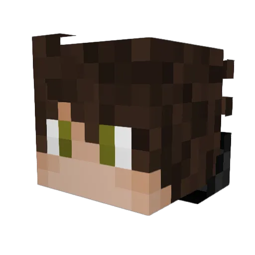 NotRememberAskin Minecraft avatar head, 3D render