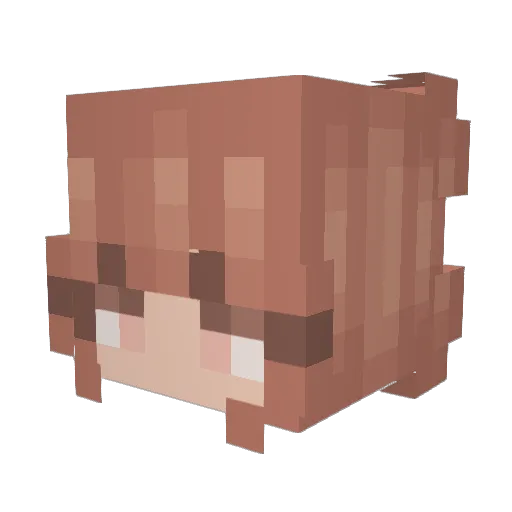 NotRisk_ Minecraft avatar head, 3D render