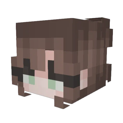 NotRobo540 Minecraft avatar head, 3D render