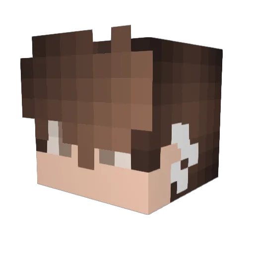 NotRunnin Minecraft avatar head, 3D render