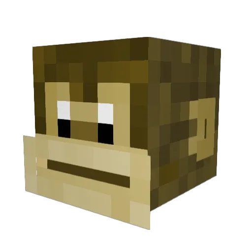 NotSage4453 Minecraft avatar head, 3D render