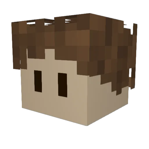 NotSaltyBoi Minecraft avatar head, 3D render
