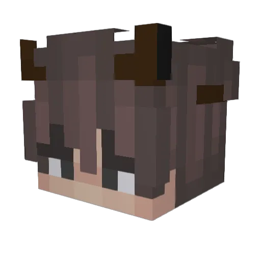 NotSamTubeZ Minecraft avatar head, 3D render