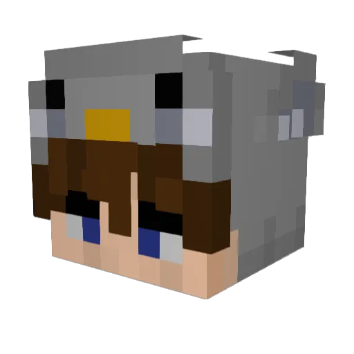 NotSapnap Minecraft avatar head, 3D render