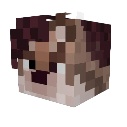 NotSauce Minecraft avatar head, 3D render