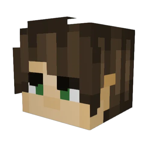 NotSeabass Minecraft avatar head, 3D render