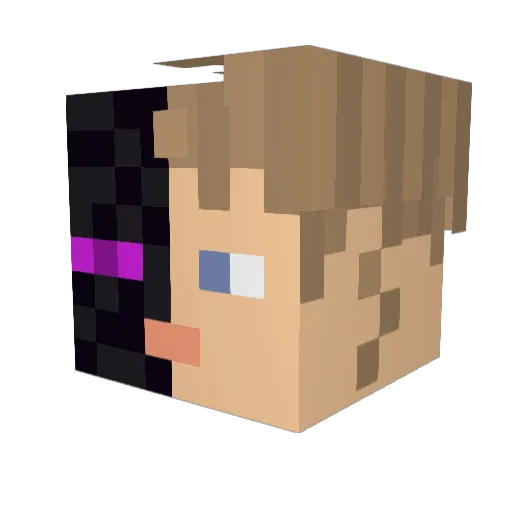 NotSeen4 Minecraft avatar head, 3D render