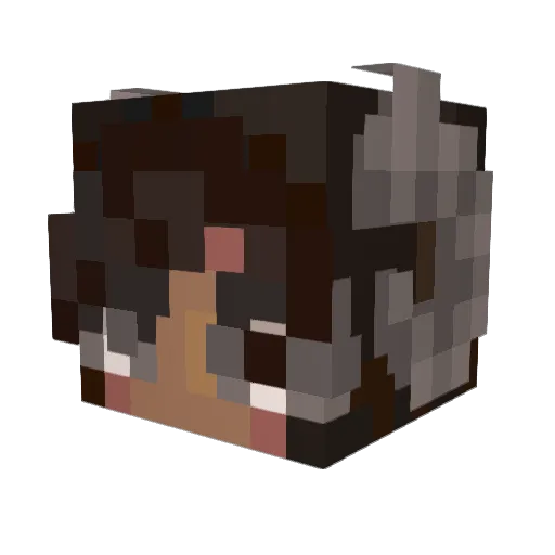 NotSheepSheep Minecraft avatar head, 3D render
