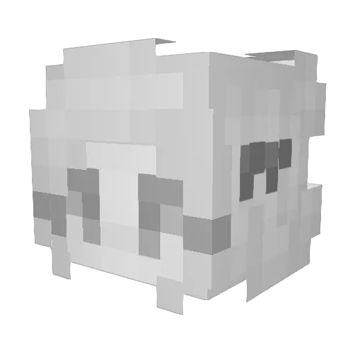 NotShone Minecraft avatar head, 3D render