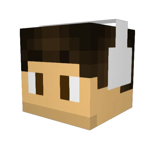 NotSirPun Minecraft avatar head, 3D render