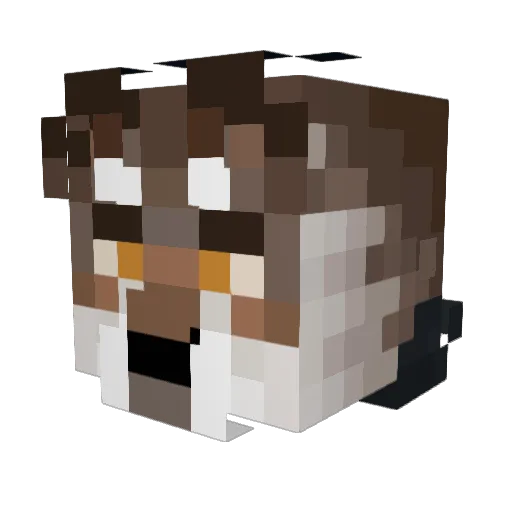 NotSlugThing Minecraft avatar head, 3D render
