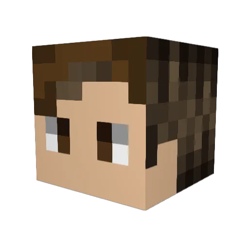 NotSo3DS Minecraft avatar head, 3D render