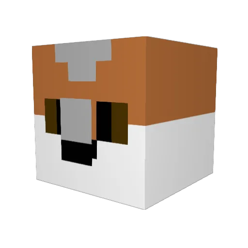 NotSoCactus Minecraft avatar head, 3D render