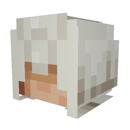 NotSoSavage Minecraft avatar head, 3D render