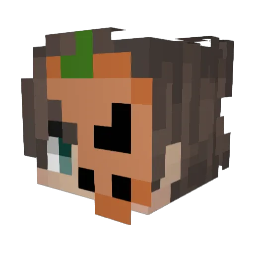NotSoXO Minecraft avatar head, 3D render