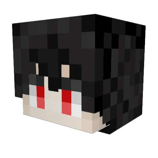 NotSocks_ Minecraft avatar head, 3D render