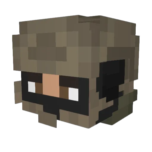 NotSome1 Minecraft avatar head, 3D render