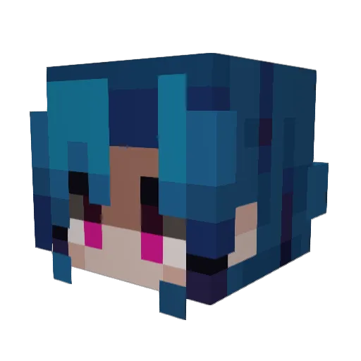 NotSoupii Minecraft avatar head, 3D render
