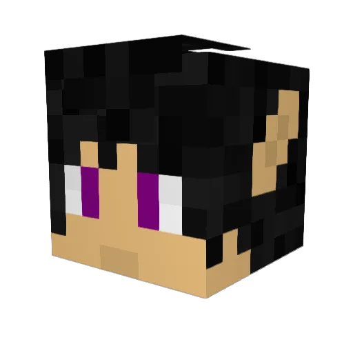 NotSpartanDory Minecraft avatar head, 3D render