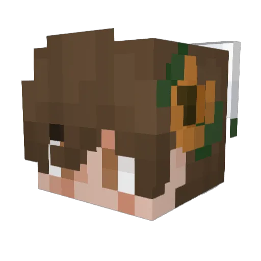 NotSpencer1 Minecraft avatar head, 3D render