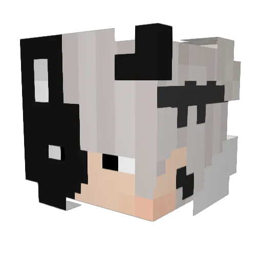 NotStar__ Minecraft avatar head, 3D render