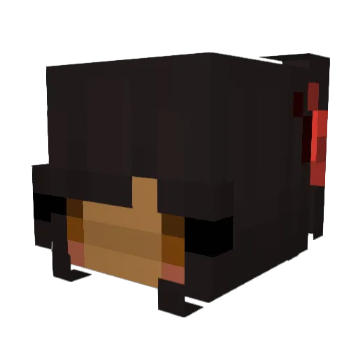 NotSunnygamer09 Minecraft avatar head, 3D render