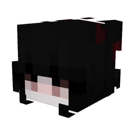 NotTTV_Toxic5 Minecraft avatar head, 3D render