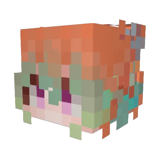 NotTakaNashe Minecraft avatar head, 3D render