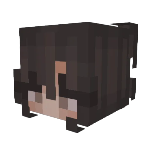 NotTeaFlavor Minecraft avatar head, 3D render