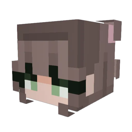 NotTerminated Minecraft avatar head, 3D render