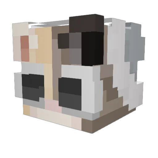 NotTerra Minecraft avatar head, 3D render