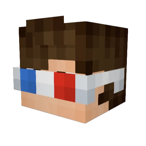 NotTescoCustomer Minecraft avatar head, 3D render