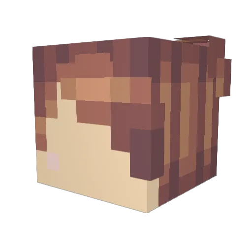 Minecraft-Avatar von NotTheBestName: Kopf als 3D-Render