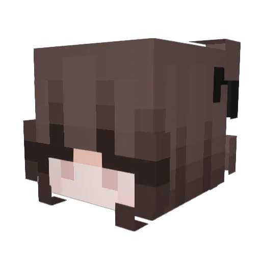 NotTheGamerGod Minecraft avatar head, 3D render