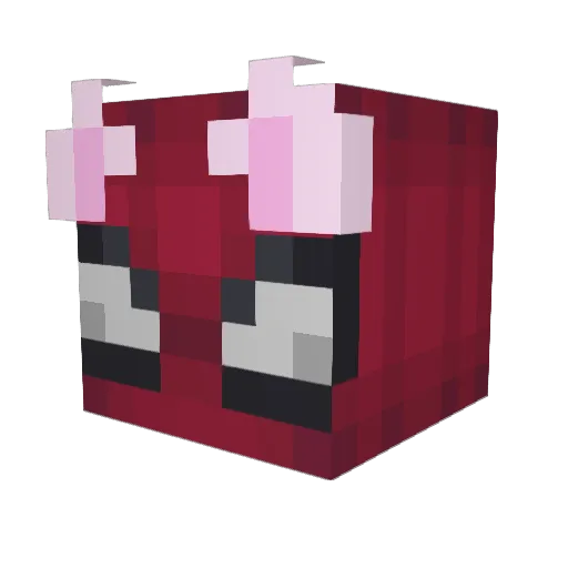 NotTheHost2620 Minecraft avatar head, 3D render