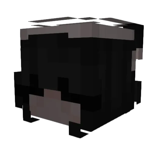 NotTheOne9965 Minecraft avatar head, 3D render