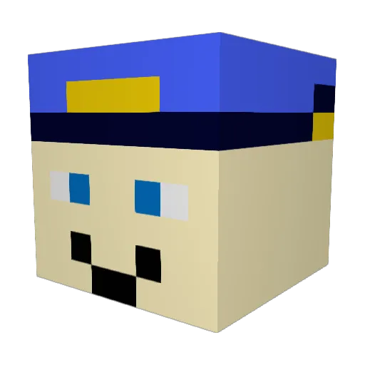 NotTim078 Minecraft avatar head, 3D render