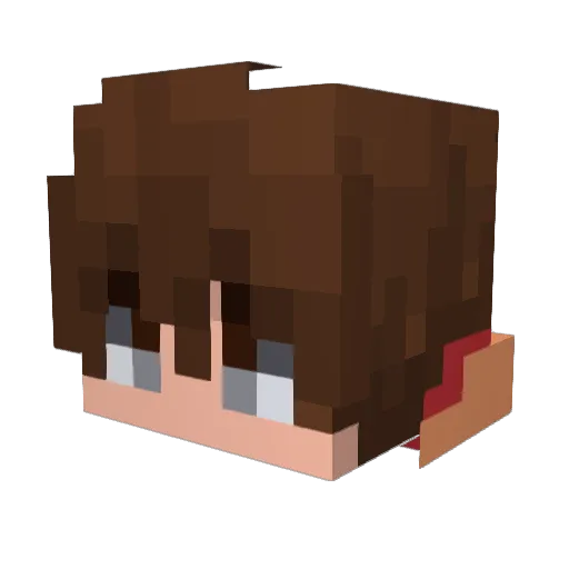 NotToG Minecraft avatar head, 3D render