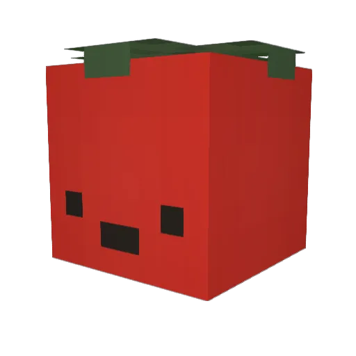 NotTomaTOES Minecraft avatar head, 3D render