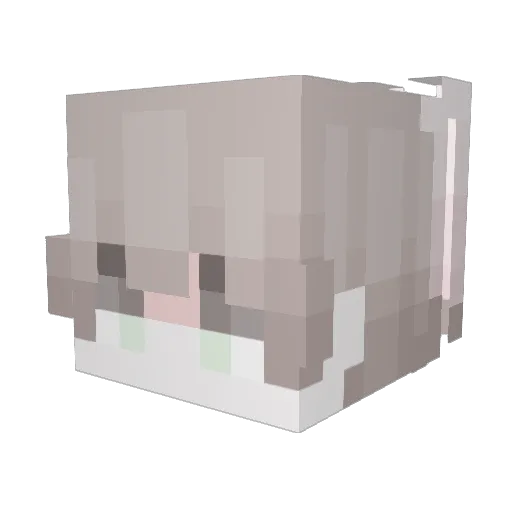 NotTonny Minecraft avatar head, 3D render
