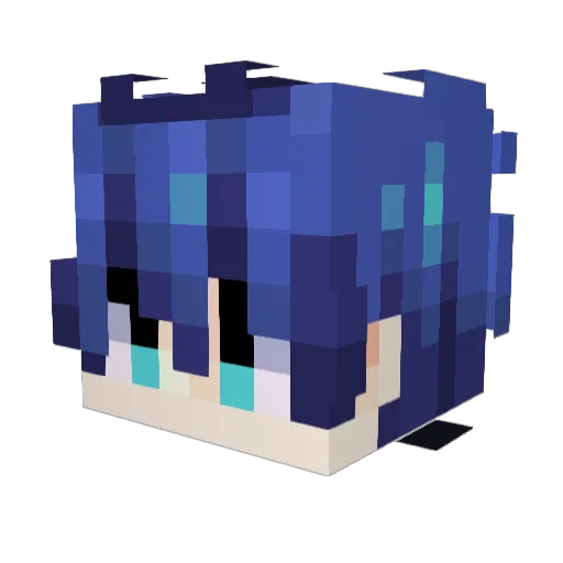 NotTpatoggle Minecraft avatar head, 3D render