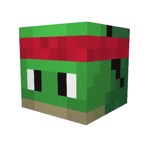 NotTurtl3 Minecraft avatar head, 3D render