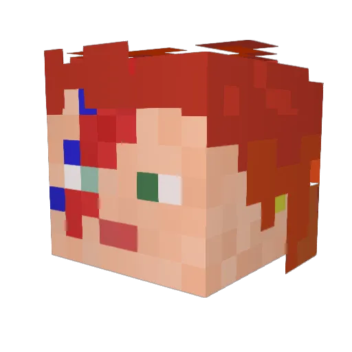 NotTutuga Minecraft avatar head, 3D render