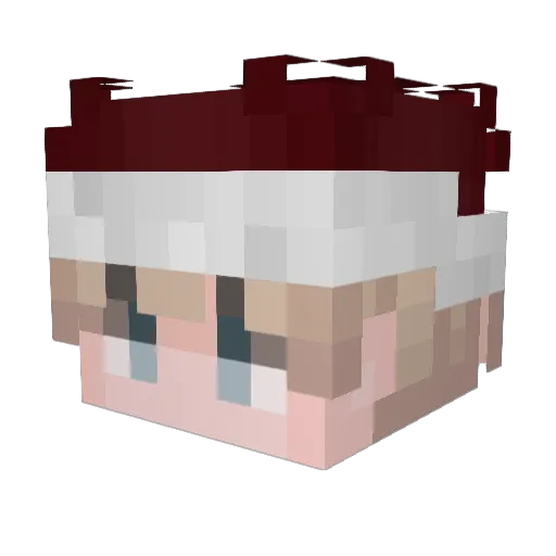 NotTyro Minecraft avatar head, 3D render