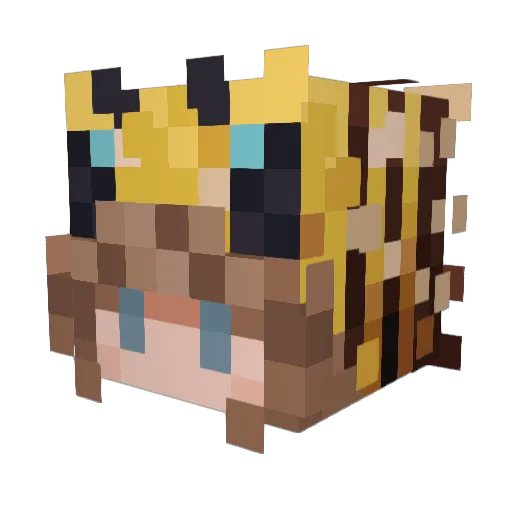 NotUrBaby99 Minecraft avatar head, 3D render