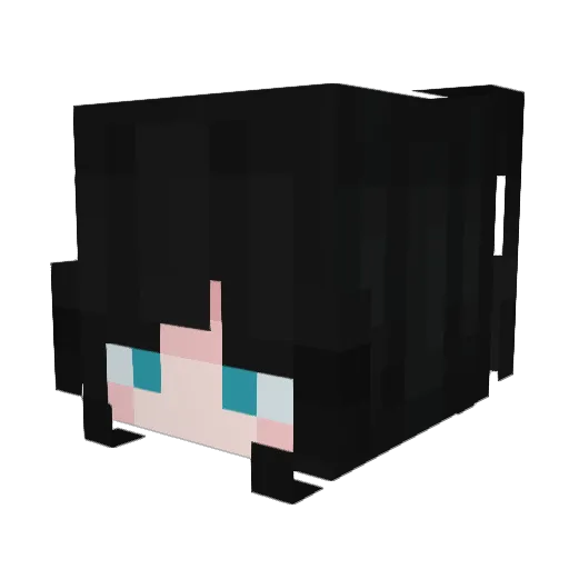 NotVeryNormal Minecraft avatar head, 3D render