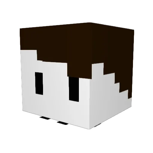 NotVeryPr0 Minecraft avatar head, 3D render
