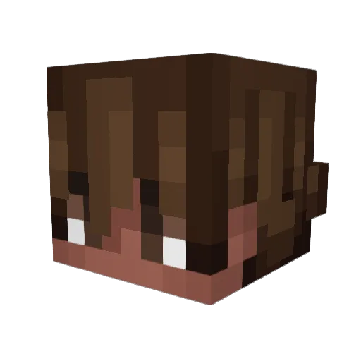 NotVeryTactical Minecraft avatar head, 3D render