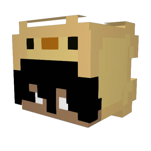 NotVultrx Minecraft avatar head, 3D render